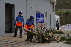 CAS members cleared collapsed trees.